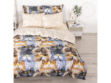 ���� ������� (220 ��. � �����������)