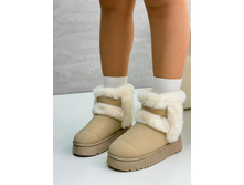 ������ ����