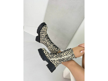 ������ ����