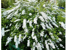 ���-�����