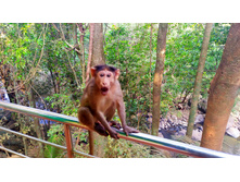 IMG 20250211 091142.jpg