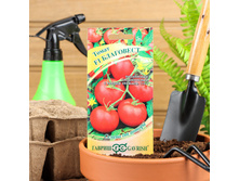 ������ ����� "���������" F1, �����������,��������������,������������, 12 ��.