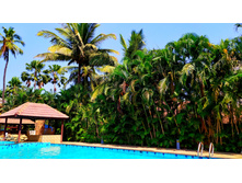 IMG 20250206 133701.jpg