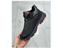 ������ ���� �������