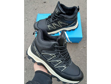 ������� ���� �������