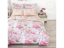 ���� ���������� (220 ��. � �����������).