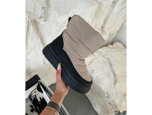 ������ ����