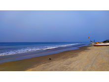 IMG 20250210 082945.jpg