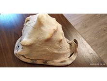 ������� ������1.jpg