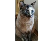 IMG 20230319 145225.jpg