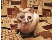 IMG 20210722 155301.jpg