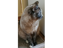 IMG 20230319 145236.jpg