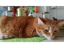 IMG 20230319 152104.jpg