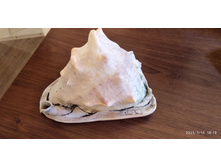 ������� ������.jpg