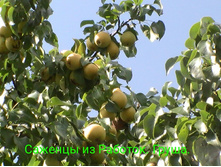 IMG 20200301 133919.jpg