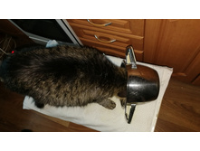 IMG 20241102 122423.jpg