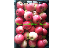 IMG 20200229 185539.jpg