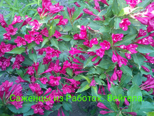 IMG 20200301 133617.jpg