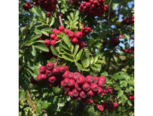 ����� ������ ������ ������ ������������ ���� 465 � �������� 1��