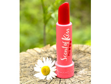 Armand Basi Scent of Kiss my heart ������� ��������� ����, 50 ��. ������ � ������� ���� 1499 �.