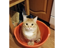 IMG 20201213 172953.jpg