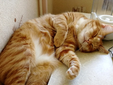 IMG 20230315 220729.jpg