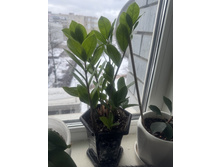 ������������