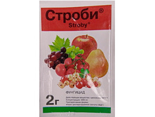 -50% ������ 2��