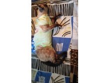 IMG 20210708 192656.jpg