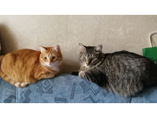 IMG 20200524 171320.jpg