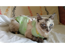 IMG 20210716 151450.jpg