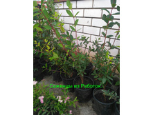 IMG 20200229 202344.jpg