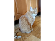 IMG 20230319 150719.jpg