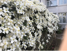 �������� ������������