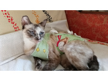 IMG 20210716 152920.jpg