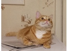 IMG 20200408 211608.jpg