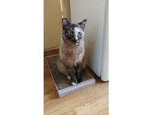 IMG 20230319 145252.jpg