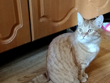 IMG 20230319 145614.jpg