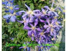 IMG 20200301 132942.jpg