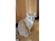 IMG 20230319 150832.jpg