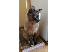 IMG 20230319 145309.jpg