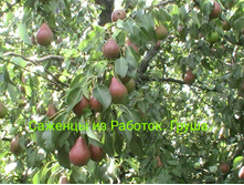 IMG 20200301 133836.jpg