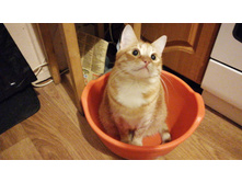 IMG 20201213 173137.jpg