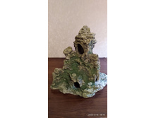 ���� �������.jpg