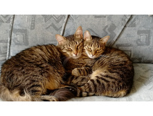 IMG 20210829 150108.jpg