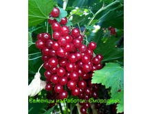 IMG 20200229 184651.jpg