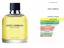 Dolce&Gabbana Pour Homme