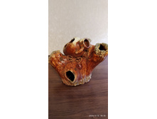 ���� ��������.jpg