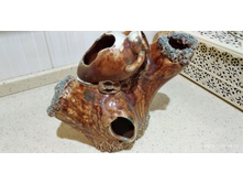 ���� ��������2.jpg