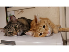 IMG 20210321 185427.jpg